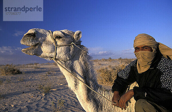 Berber-Kamelreiter und Kamel während eines Kameltrekkings in der Sahara von Douz (Stadt am Rande von Südtunesien)  Tunesien.