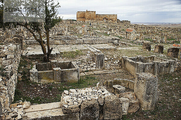 Olivenpresse und byzantinische Festung  Madure Site  in der Nähe von Souq Ahras; Algerien