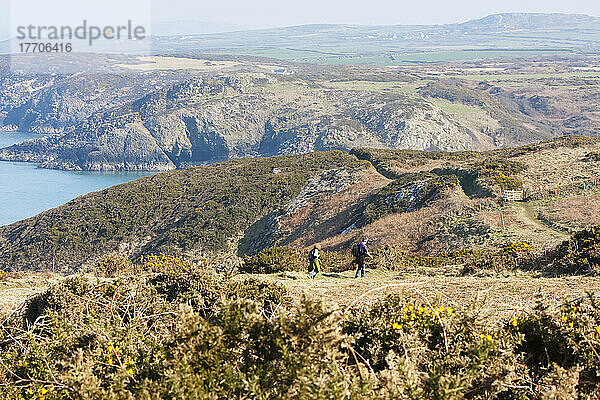 Zwei Wanderer in der Nähe von Strumble Head auf dem Pembrokeshire Coast Path  Südwestwales; Pembrokeshire  Wales