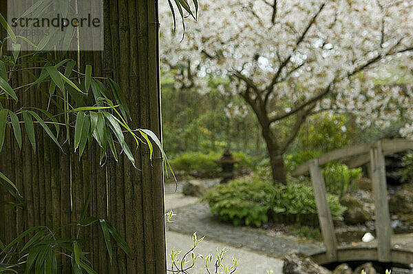 Barnsdale Gardens; Rutland  England