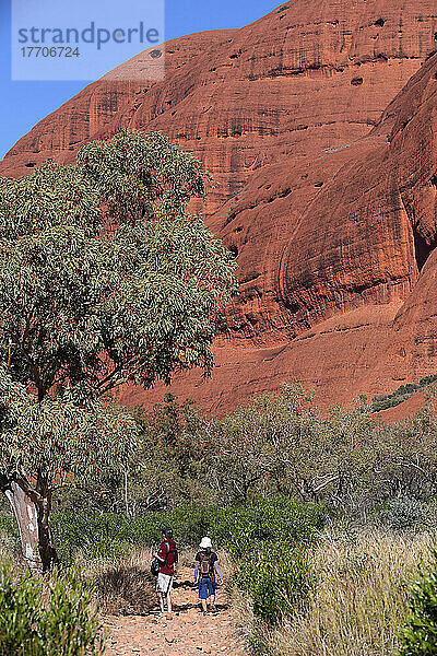 Die Olgas  in der lokalen Sprache als Kata Djuta bekannt; Northern Territory  Australien