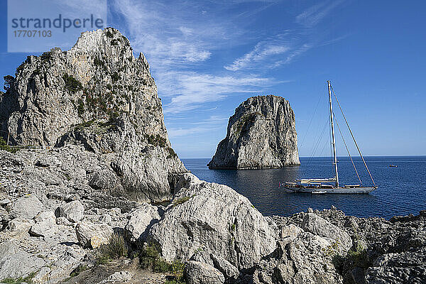 Faraglioni-Bucht und Felsformationen auf der Insel Capri; Capri  Neapel  Italien