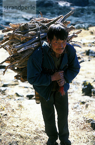 Nomadenkapelle  die Holzscheite für das Feuer trägt  4000 Meter über dem Paro-Tal  Bhutan Foto: Jill Mead/Axiom