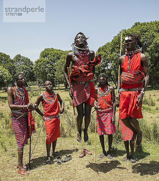 Massai-Tänzer im Maasai Mara National Reserve  Kenia  Afrika; Narok  Narok County  Kenia