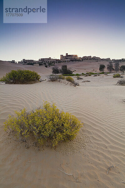 Leeres Viertel in der Liwa-Oase bei Sonnenaufgang; Liwa-Oase  Abu Dhabi  Vereinigte Arabische Emirate