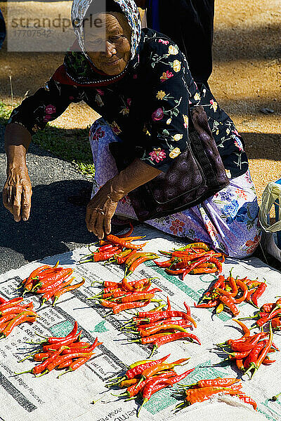 Lokale Frau verkauft rote Chillies