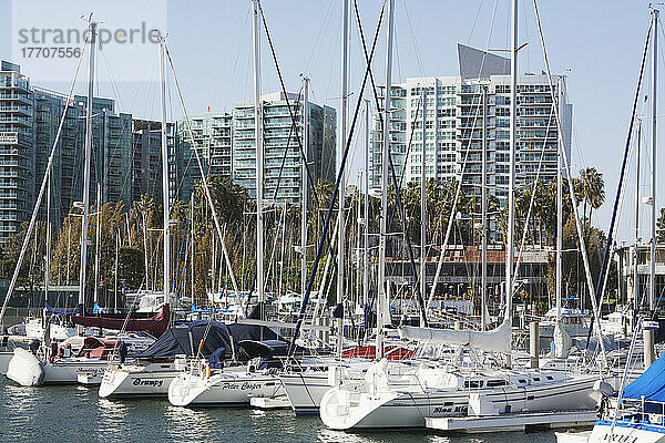Ein geschäftiges Hafenviertel mit Booten im Hafen; Kalifornien  Vereinigte Staaten von Amerika