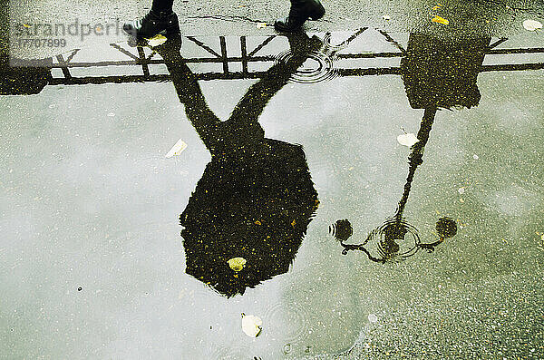 Reflexion in einer Pfütze einer Person  die mit einem Regenschirm und einem Laternenpfahl geht; Locarno  Tessin  Schweiz