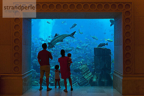 Silhouette einer Familie  die Fische im Aquarium beobachtet  Atlantis The Palm Hotel; Dubai  Vereinigte Arabische Emirate