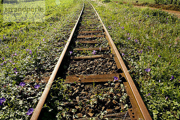 Alte Eisenbahnschienen in Santa Barbara Do Sul  Rio Grande Do Sul  Brasilien