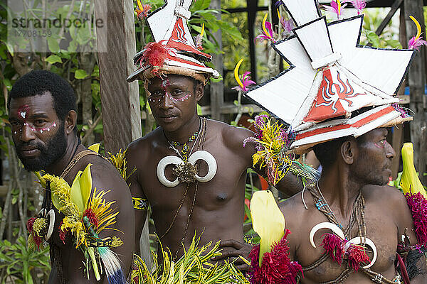 Dorfbewohner bei den Vorbereitungen zur Aufführung eines traditionellen melanesischen Stammestanzes auf der Insel Tuam der Siassi-Inseln  Papua-Neuguinea; Insel Tuam  Provinz Morobe  Papua-Neuguinea