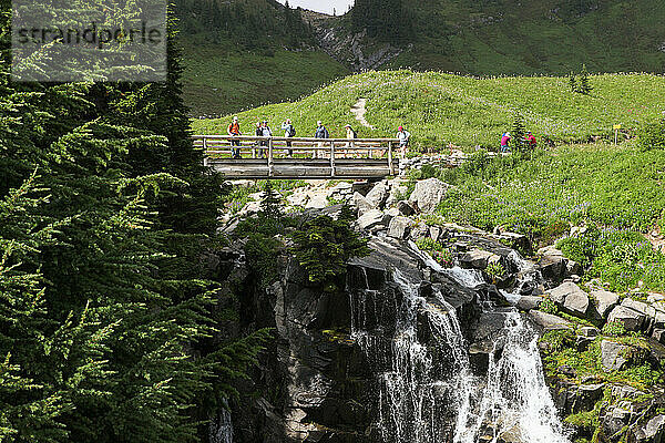 Mehrere Wanderer folgen einem Pfad und einem Steg auf dem Mount Rainier mit Blick auf einen Wasserfall; Mount Rainier National Park  Washington