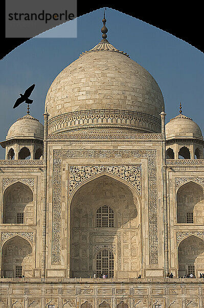 Silhouette einer Taube  die in die Türöffnung vor dem Taj Mahal fliegt; Agra  Indien