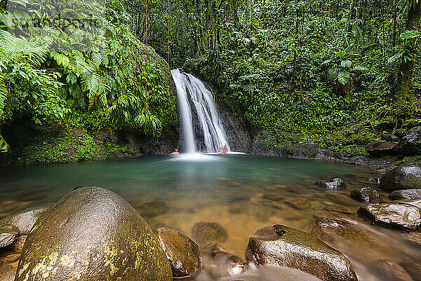 Schwimmen im Tauchbecken eines Wasserfalls auf Guadeloupe in den französischen Westindischen Inseln; Guadeloupe  Frankreich