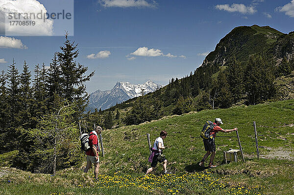 Wanderer klettern zum Gipfel des Karsteins. Kitzbühel  Tirol  Österreich.