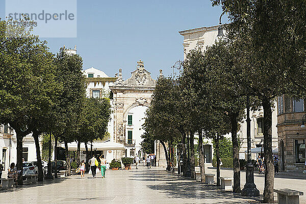 Traditionelle apulische Architektur; Martina Franca  Apulien  Italien