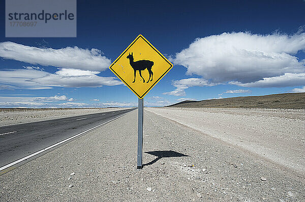 Schild mit Warnung vor Lama-Sichtungen entlang einer Straße; Argentinien