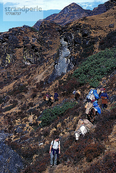 Wanderer weisen den Weg zwischen Paro und Thimpu auf einem alten Trekkingpfad Foto: Jill Mead/Axiom/Nov 2003