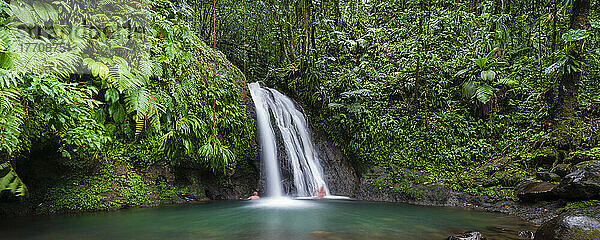 Schwimmen im Tauchbecken eines Wasserfalls auf Guadeloupe in den französischen Westindischen Inseln; Guadeloupe  Frankreich