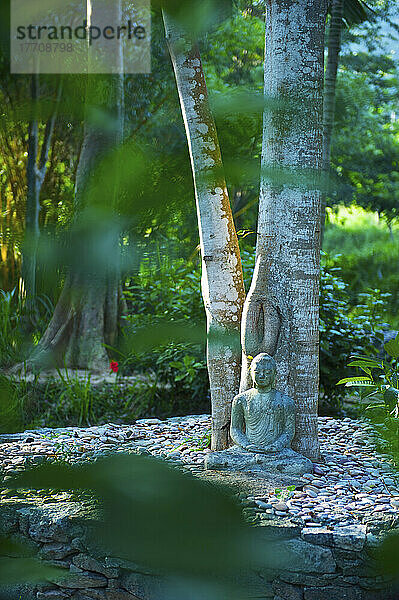 Eine Buddha-Statue am Fuß eines Baumes; Ulpotha  Embogama  Sri Lanka