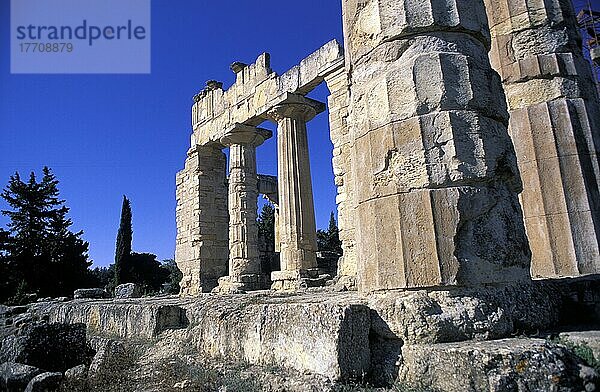 Tempel des Zeus