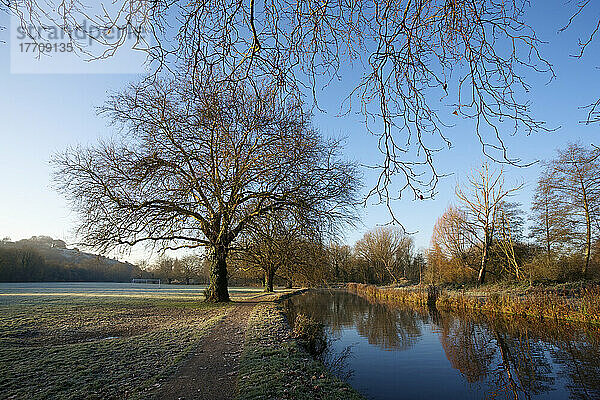 Bäume am Itchen River Navigation Canal an einem nebligen Morgen auf den Wasserwiesen; Winchester  Hampshire  England