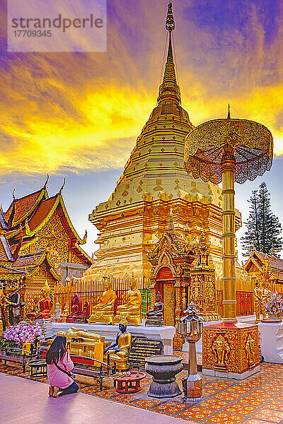 Verehrer des buddhistischen Tempels Wat Phra That Doi Suthep mit goldenen Strukturen in der Abenddämmerung; Chiang Mai  Provinz Chiang Mai  Thailand