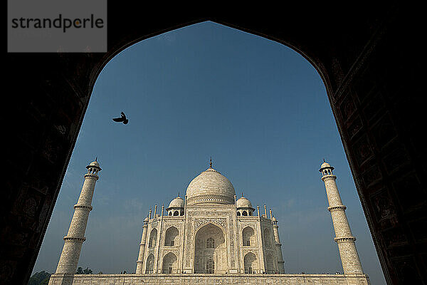 Silhouette einer Taube  die in die Türöffnung vor dem Taj Mahal fliegt; Agra  Indien