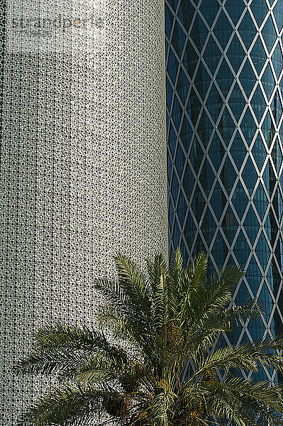 Neue Bürogebäude und Dattelpalme; Doha  Katar