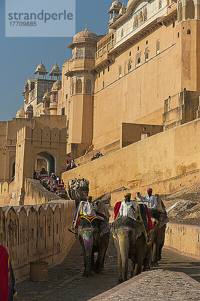 Elefanten  die den Pfad zum Amber Fort hinauf- und hinunterlaufen; Amer  Jaipur  Indien