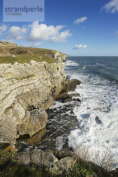 Küstenklippen auf der Insel Purbeck; Dorset  England