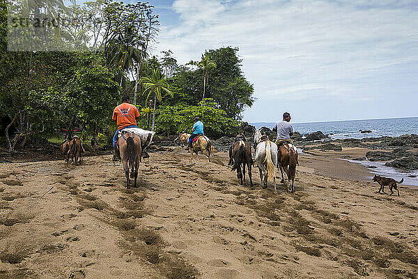 Mehrere Besucher des Caletas-Reservats auf der Osa-Halbinsel reiten am Strand in Costa Rica. Ein Expeditionsschiff ankert im Wasser; Costa Rica