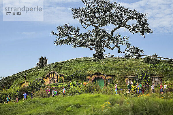 Der Touristenort Hobbiton auf der Nordinsel Neuseelands. Der Ort  an dem die Herr der Ringe -Filme gedreht wurden; Hobbiton  Waikato  Neuseeland