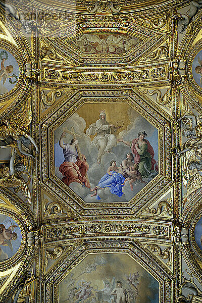 Details einer verzierten Decke im Louvre  Paris  Frankreich.
