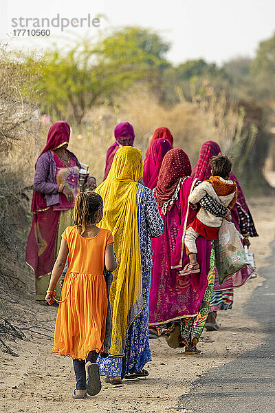 Frauen  die gemeinsam in der Wüste Thar wandern  Rajasthan  Indien; Rajasthan  Indien