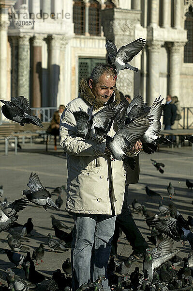 Venedig  Italien. Mann und Tauben  Markusplatz. Doug Mckinlay/Axiom