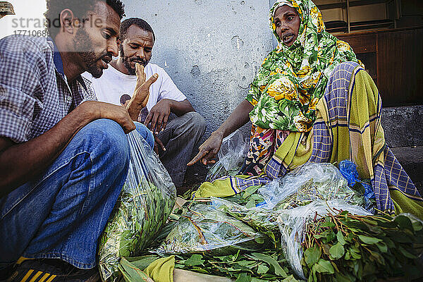 Qat-Verkäufer auf einem Markt außerhalb der Altstadt von Harar in Ostäthiopien; Harar  Äthiopien