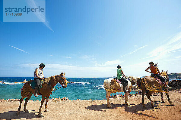 Pferde in Cala Pregonda  Menorca  Balearische Inseln  Spanien