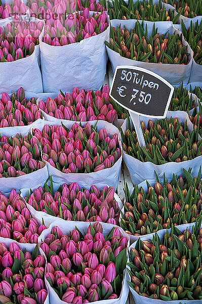 Große Tulpensträuße zum Verkauf auf dem Blumenmarkt  Amsterdam  Holland.