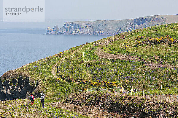 Zwei Wanderer zwischen Marloes und Martin's Haven auf dem Pembrokeshire Coast Path; Wales
