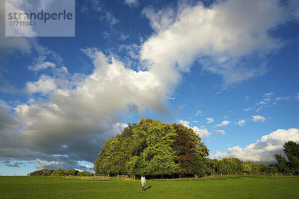 Eine junge Frau  die durch die Landschaft in der Nähe von Hinton Apner spaziert; Hampshire  England