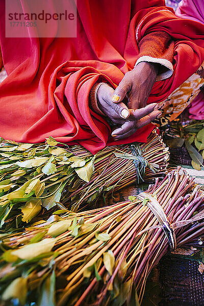 Qat-Verkäufer auf einem Markt außerhalb der Altstadt von Harar in Ostäthiopien; Harar  Äthiopien