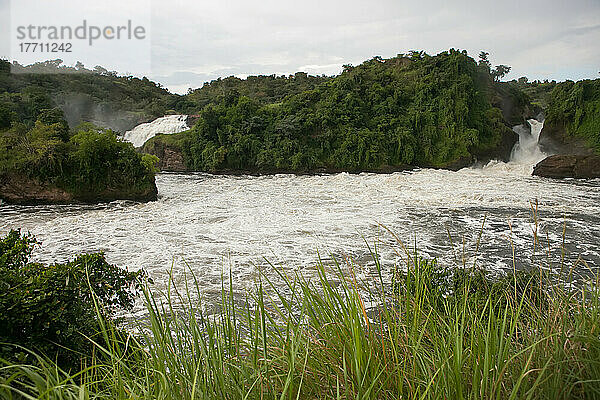 Die Murchison Falls  auch bekannt als Kabarega Falls  liegen am Nil; Nil  Murchison Falls National Park  Uganda