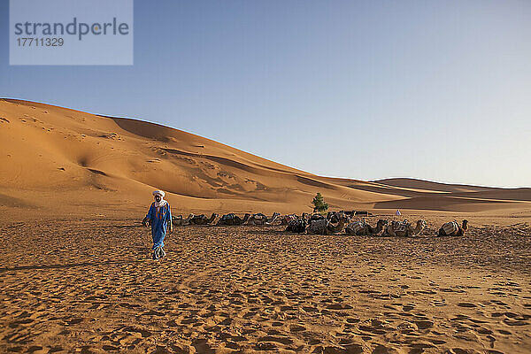 Ein marokkanischer Mann in traditioneller Kleidung geht in der Nähe eines Kamelzugs in der Sahara in der Nähe von Erg Chebbi  Marokko; Erg Chebbi  Marokko