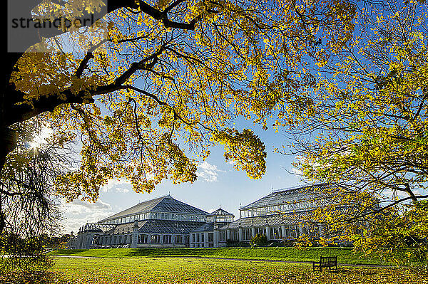 Kew Gardens Temperate House; London  England