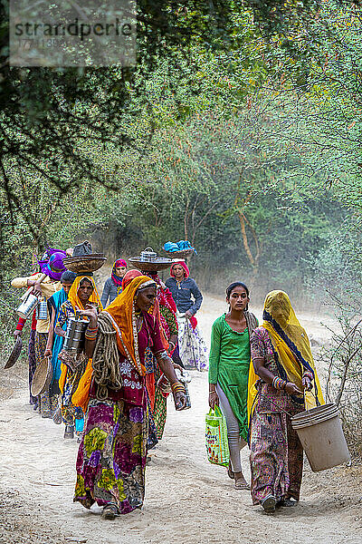 Frauen bei der Rückkehr ins Dorf in der ländlichen Wüste um Nimaj  Jaitaran Pali  Rajasthan  Indien; Rajasthan  Indien
