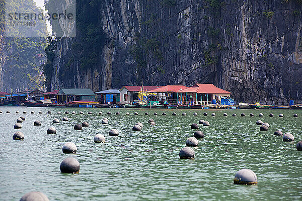 Austernzucht im Fischerdorf Vung Vieng in der Bai Tu Long Bay  Ha Long Bay  Vietnam; Vung Vieng  Bai Tu Long Bay  Vietnam