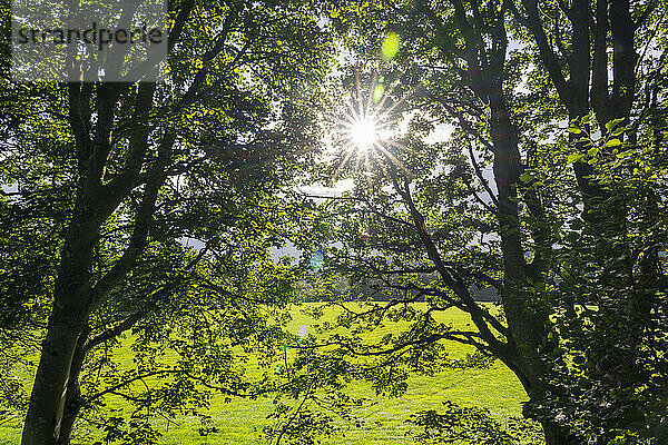 Die Sonne bricht durch die Bäume hinter einem Bauernhof in der Nähe von Fort Augustus  Schottland; Fort Augustus  Schottland