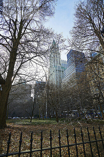 New York Cityscape mit Park und Gebäuden; New York City  New York  Vereinigte Staaten von Amerika