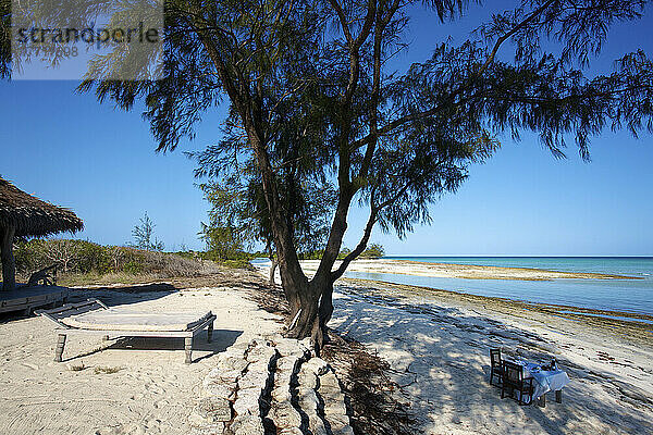 Ein gedeckter Tisch für eine Mahlzeit am Strand im Schatten eines Baumes; Insel Vamizi  Mosambik